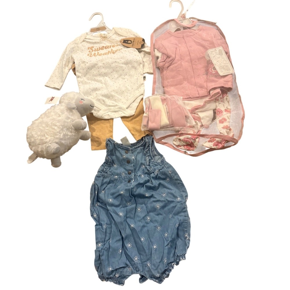 Duck Duck Goose Rabbit Carter's Baby Girl Clothes Lot 6-9M NWT Plush Set